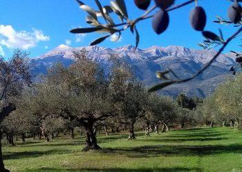 ΦΩΤΟΓΡΑΦΙΑ: ΑΠΕ-ΜΠΕ