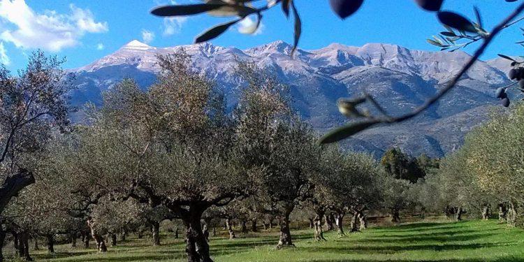 ΦΩΤΟΓΡΑΦΙΑ: ΑΠΕ-ΜΠΕ