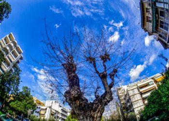 Ο Καιρός της Κυριακής 27 Οκτωβρίου: Αίθριος με τοπικές νεφώσεις και μέτριους ανέμους