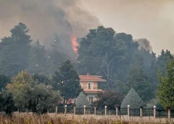 Ανεξέλεγκτη η φωτιά στο Γεράκι Αμαλιάδας – Τραυματίστηκε πυροσβέστης –