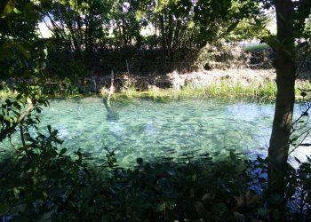 Μύθος και φύση, παρελθόν και παρόν συναντώνται σε μια ιχθυοκαλλιέργεια, στις πηγές των Χαρίτων
