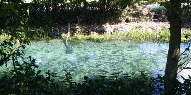 Μύθος και φύση, παρελθόν και παρόν συναντώνται σε μια ιχθυοκαλλιέργεια, στις πηγές των Χαρίτων
