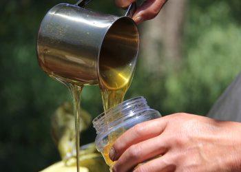 Μέλι: Σκάνδαλο νοθείας στις αγορές – Αποκαλυπτικά στοιχεία για το μέγεθος της απάτης