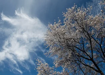 Καιρός σήμερα Πέμπτη: Ως 31 βαθμούς Κελσίου η θερμοκρασία στην Αθήνα
