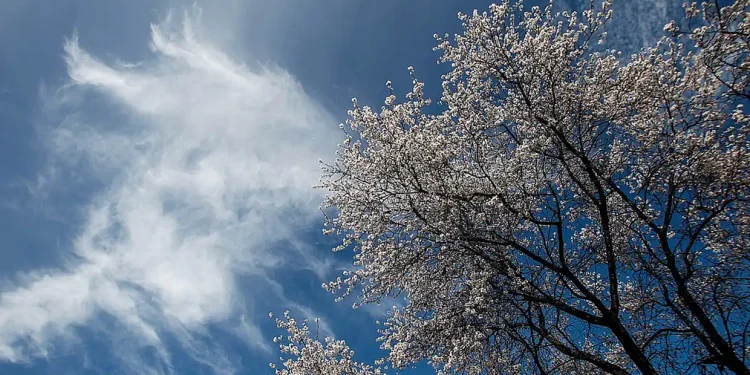 Καιρός σήμερα Πέμπτη: Ως 31 βαθμούς Κελσίου η θερμοκρασία στην Αθήνα