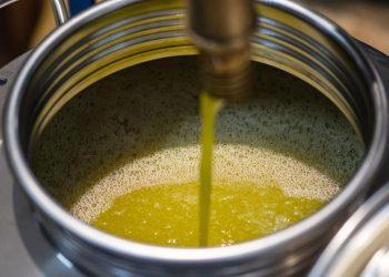 Μεγάλη πτώση τιμών παραγωγού ελαιολάδου σε πρόσφατη δημοπρασία