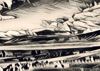 Θυμάμαι… Μπαξέδες στο Αμύνταιο