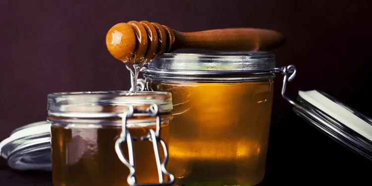 Γιατί εξαφανίζεται το ελληνικό μέλι; Η μείωση στην παραγωγή και ο «βραχνάς» των ελληνοποιήσεων