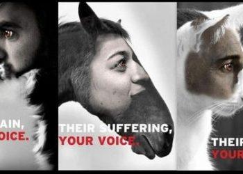 Η φωνή των αδύναμων: Μια κραυγή για σεβασμό