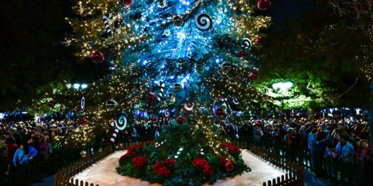 (ΤΑΤΙΑΝΑ ΜΠΟΛΑΡΗ/EUROKINISSI)