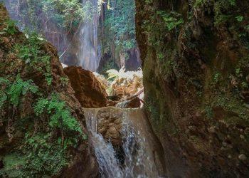 Ανακαλύψτε το μαγευτικό δάσος της Φολόης και τους καταρράκτες της Νεμούτας