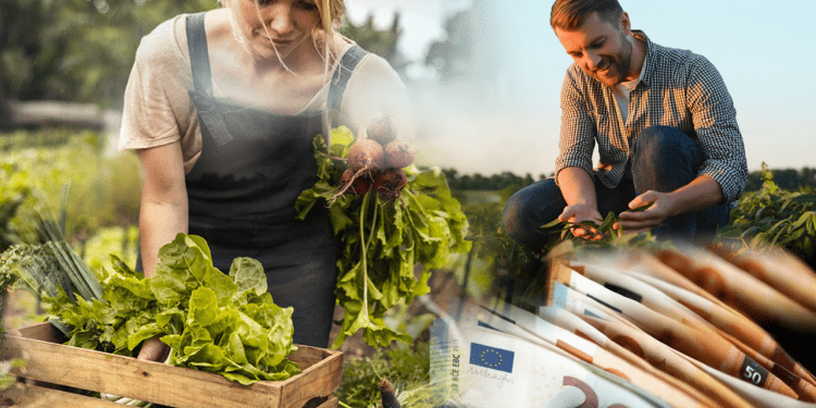 Νέοι αγρότες: Στα 410 εκατ. το νέο πρόγραμμα – Πότε ξεκινούν οι αιτήσεις