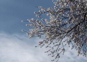 Καιρός σήμερα: Γενικά αίθριος με παροδικές νεφώσεις στα βόρεια