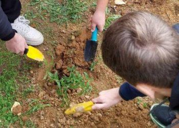 Ο Δήμος Κηφισιάς «εκπαιδεύει» τους μαθητές για το περιβάλλον – Οι ενημερωτικές δράσεις