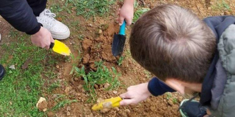 Ο Δήμος Κηφισιάς «εκπαιδεύει» τους μαθητές για το περιβάλλον – Οι ενημερωτικές δράσεις