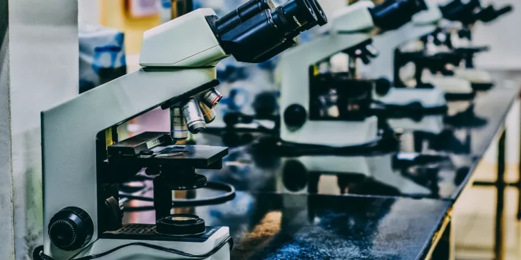 Nature: Αυτοί είναι οι 10 άνθρωποι που διαμόρφωσαν την επιστήμη το 2024