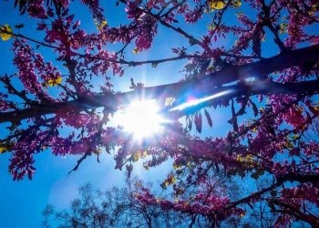 Αλκυονίδα ημέρα η Πρωτοχρονιά – Οι 7 περιοχές όπου θα «καλωσορίσουν» με ήλιο το νέο έτος