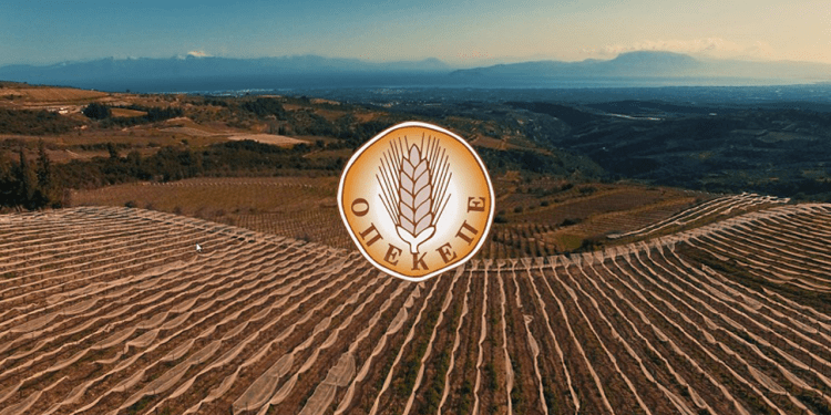 ΟΠΕΚΕΠΕ: Το χρονοδιάγραμμα των πληρωμών