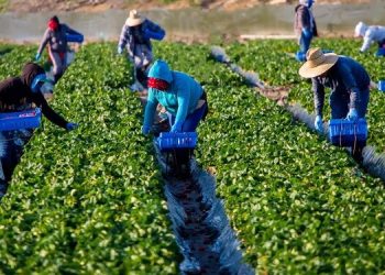 Εγκρίθηκαν 89.290 θέσεις εργασίας για μετακλήσεις εργαζομένων από τρίτες χώρες: Προκλήσεις και προοπτικές