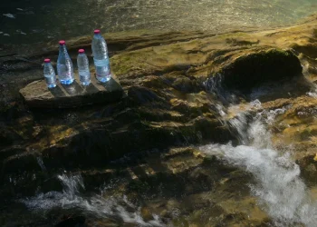 Πηγές Κωστηλάτας: Διεθνής διάκριση για καινοτομία στην αγροδιατροφή