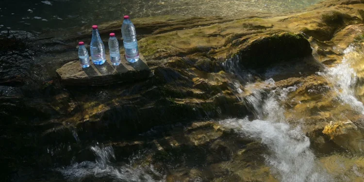 Πηγές Κωστηλάτας: Διεθνής διάκριση για καινοτομία στην αγροδιατροφή