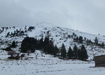 Οι πρώτες «βουτιές» στο χιόνι του 2025 στα Καλάβρυτα