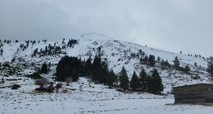 Οι πρώτες «βουτιές» στο χιόνι του 2025 στα Καλάβρυτα