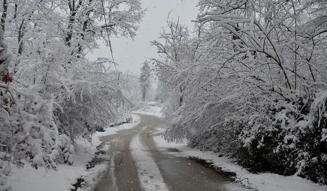 Κακοκαιρία: Νέο έκτακτο δελτίο από την ΕΜΥ – Παγετός μέχρι την Παρασκευή