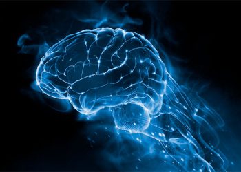 Νέες εξελίξεις στην Τεχνητή Νοημοσύνη: Ο Αποκωδικοποιητής Εγκεφάλου που μετατρέπει σκέψεις σε κείμενο