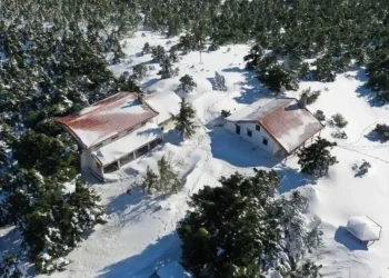 Συνεχίζεται το τσουχτερό κρύο σε όλη τη χώρα – Στα λευκά ντύθηκε η Πάρνηθα