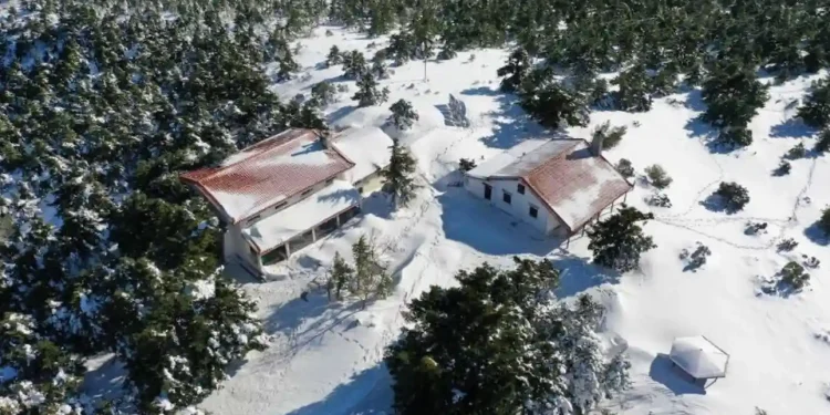 Συνεχίζεται το τσουχτερό κρύο σε όλη τη χώρα – Στα λευκά ντύθηκε η Πάρνηθα