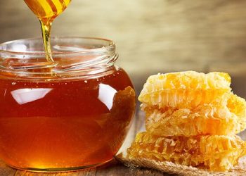 Γιορτή μελιού στον Πειραιά