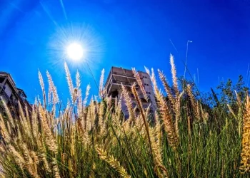 Καιρός: Ανοιξιάτικο σκηνικό σε όλη τη χώρα – Ανεβαίνει και άλλο η θερμοκασία μέσα στην εβδομάδα