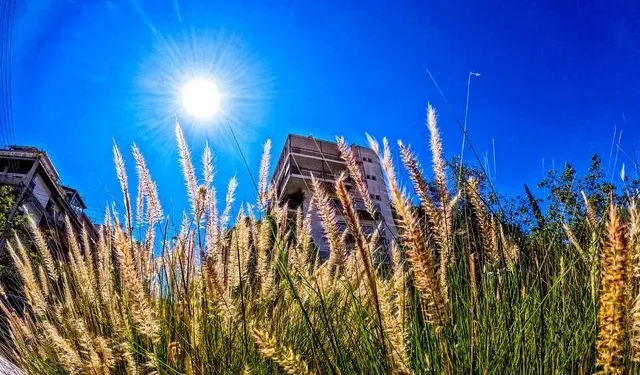 Καιρός: Ανοιξιάτικο σκηνικό σε όλη τη χώρα – Ανεβαίνει και άλλο η θερμοκασία μέσα στην εβδομάδα