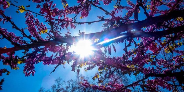 Καιρός: Υψηλές θερμοκρασίες και νοτιάδες τα κύρια χαρακτηριστικά