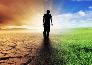 Οι καλλιέργειες τροφίμων σε κίνδυνο από την αύξηση της θερμοκρασίας