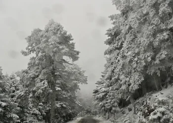 Διακοπή κυκλοφορίας στην λεωφόρο Πάρνηθος λόγω του χιονιά