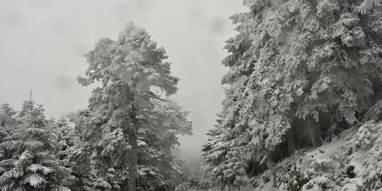 Διακοπή κυκλοφορίας στην λεωφόρο Πάρνηθος λόγω του χιονιά