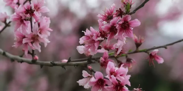 Εορτολόγιο: Ποιοι γιορτάζουν σήμερα 23 Απριλίου