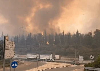 Μεγάλες δασικές πυρκαγιές μαίνονται κοντά στην Ιερουσαλήμ – Τραυματίες και εκκενώσεις οικισμών