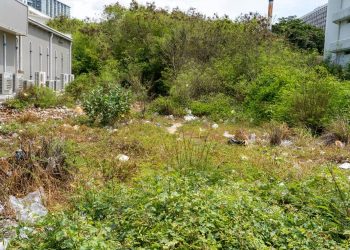 Παράταση έως 15 Ιουνίου για τον καθαρισμό οικοπέδων – Αυστηροί έλεγχοι και πρόστιμα