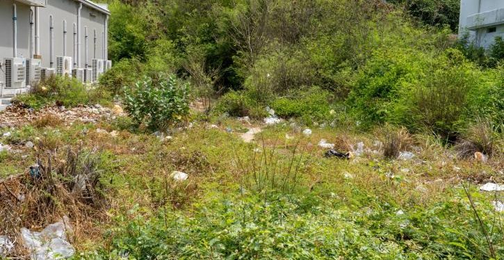 Παράταση έως 15 Ιουνίου για τον καθαρισμό οικοπέδων – Αυστηροί έλεγχοι και πρόστιμα