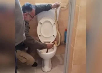 Απίστευτο θέαμα στην Καστοριά: Τεράστιο φίδι εμφανίστηκε σε λεκάνη τουαλέτας
