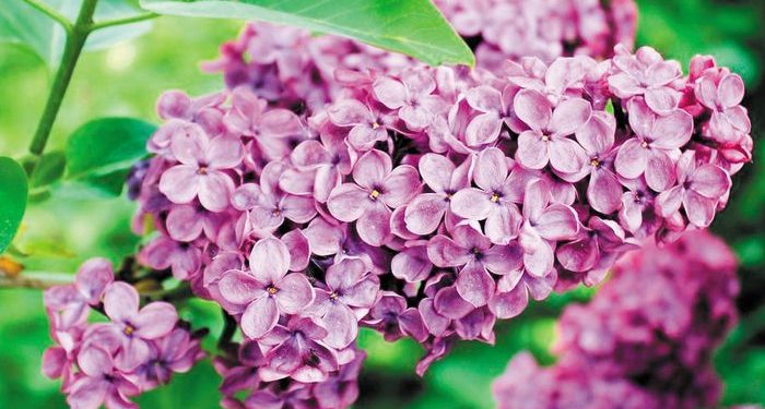 Κυριακή του Πάσχα: Ποιοι γιορτάζουν σήμερα, 20 Απριλίου