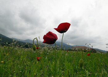 Συννεφιασμένος ο καιρός την Μεγάλη Παρασκευή – Η πρόγνωση για το Πάσχα