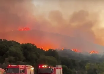 Ναύπακτος: Μεγάλη Πυρκαγιά στην Παλαιοπαναγιά