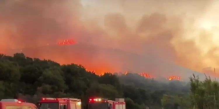 Ναύπακτος: Μεγάλη Πυρκαγιά στην Παλαιοπαναγιά