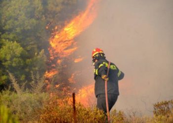Μεγάλη φωτιά στους Τσακαίους Καρύστου