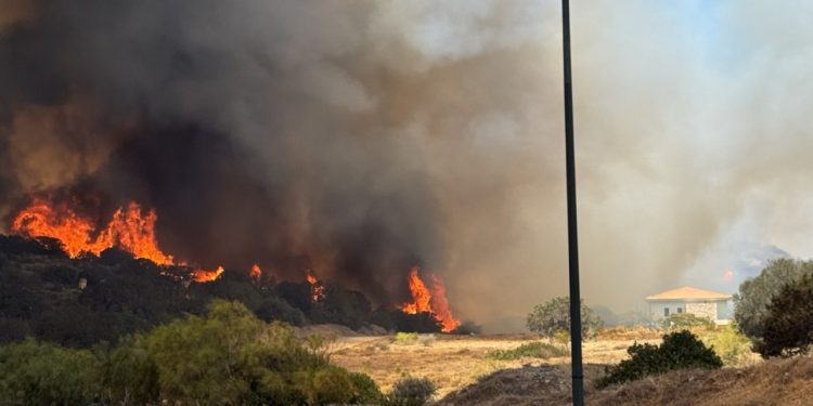 Μεγάλη φωτιά στην Παλαιά Φώκαια
