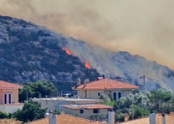 Φωτιά στην Παλαιά Φώκαια